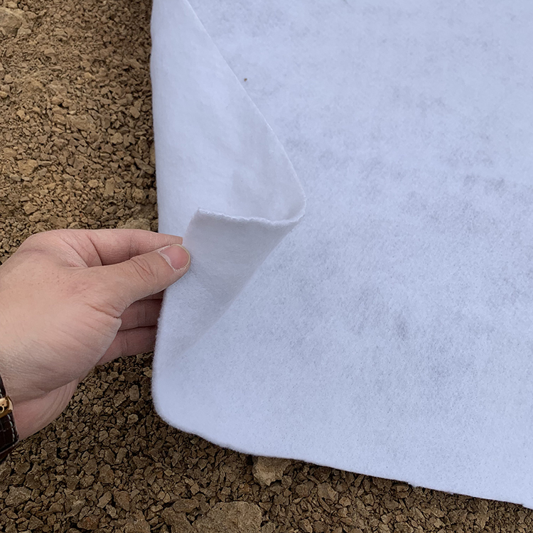 長(zhǎng)絲聚酯土工布